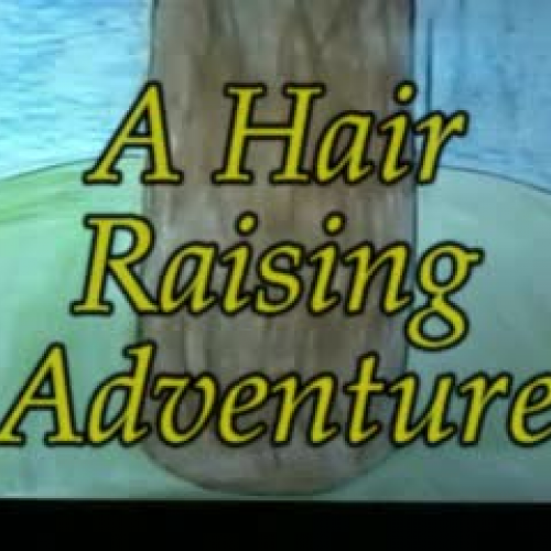 A Hair Raising Adventure