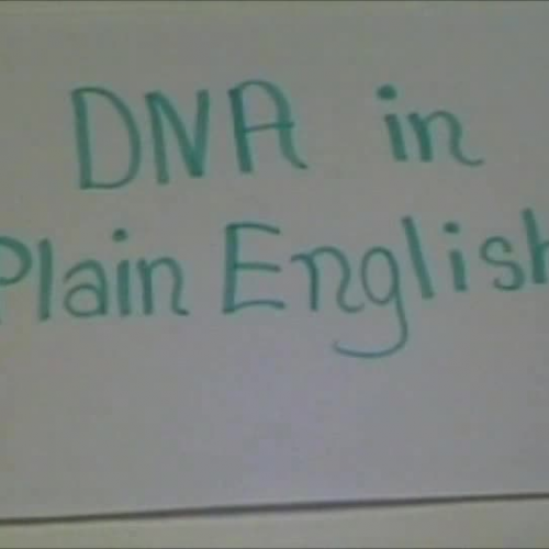 DNA in Plain English - 7