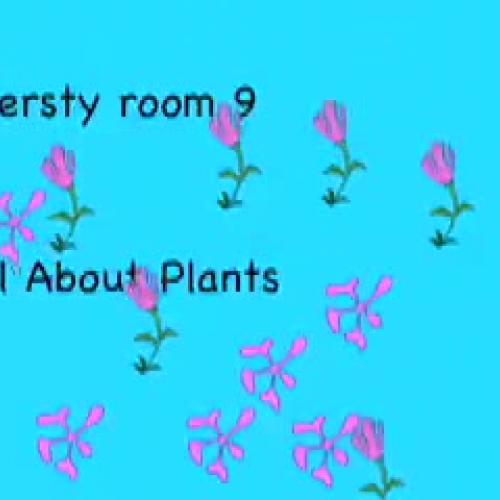 Plants by Kiersty