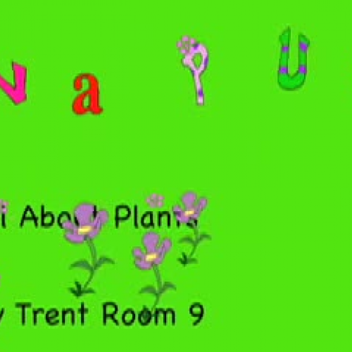 Plants by Trent