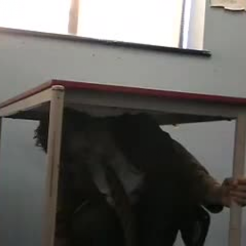 Ce qui ? faire si un tremblement de terre se 