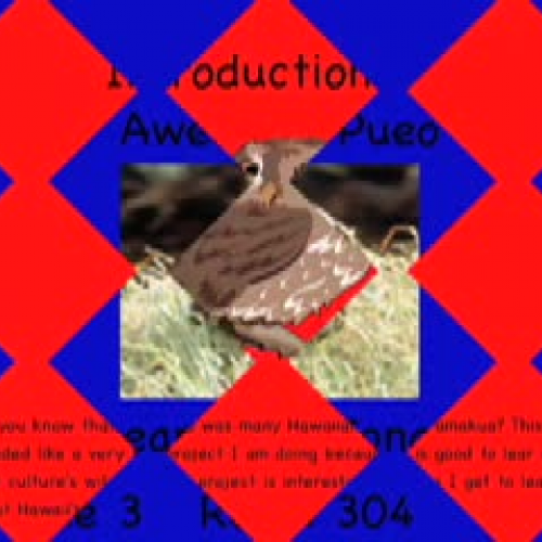 The Awesome Pueo by Jonah