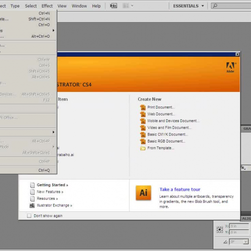 Adobe Illustrator CS4 - Desenho Vectorial
