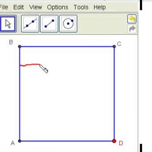Root Rectangles within a Square