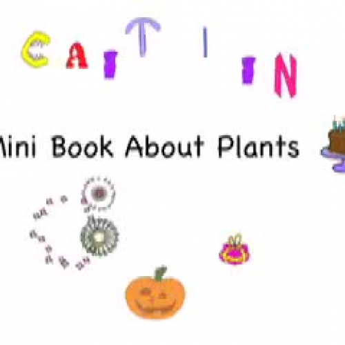 Plants by Caitlin