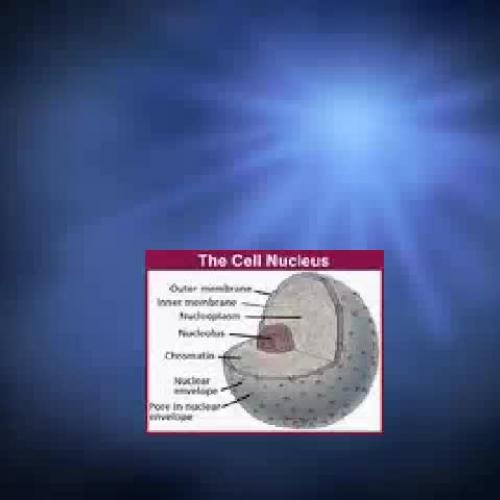 Cellcast from period 7