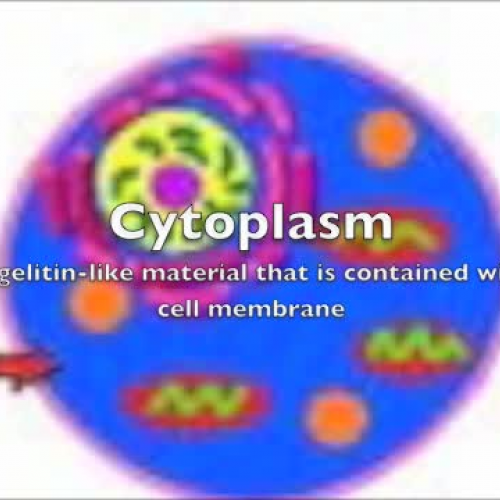 Cell by Lexington Middle School