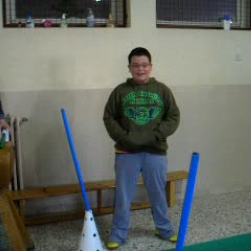 Representaciones posturales