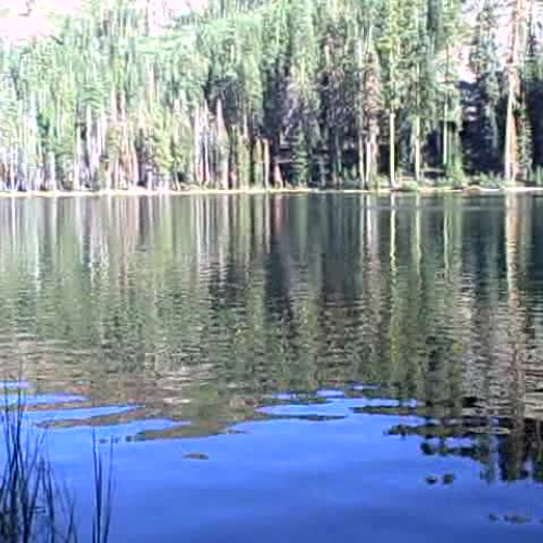 The Meaning of Life v4.0