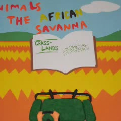 Dan\'s African Adventure