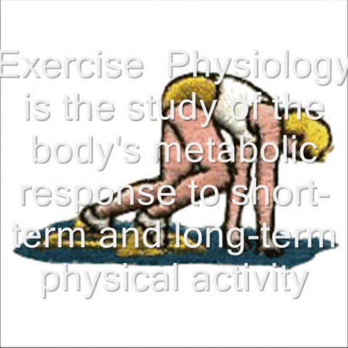 Exploring Exercise Physiology