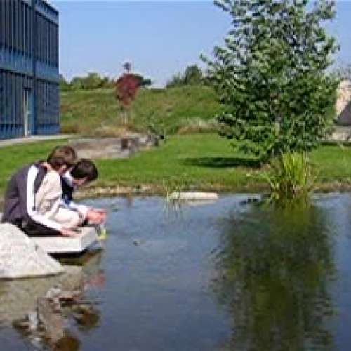 Selbstgebaute Boote in NwT Unterricht (1)
