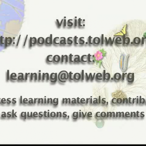 Tracking Urban Bird Diversity with the Tucson