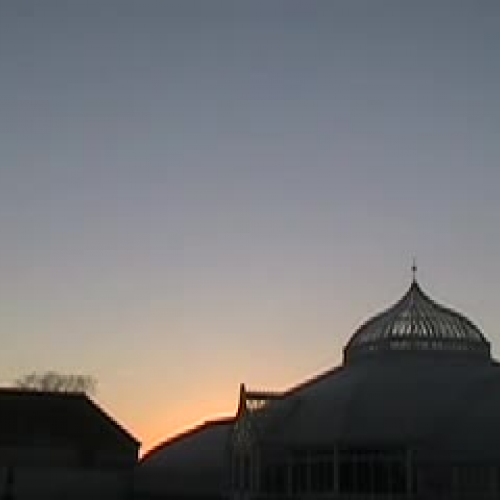 Carnegie Conservatory at Dusk