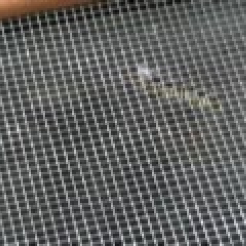 Monarch Caterpillar Project