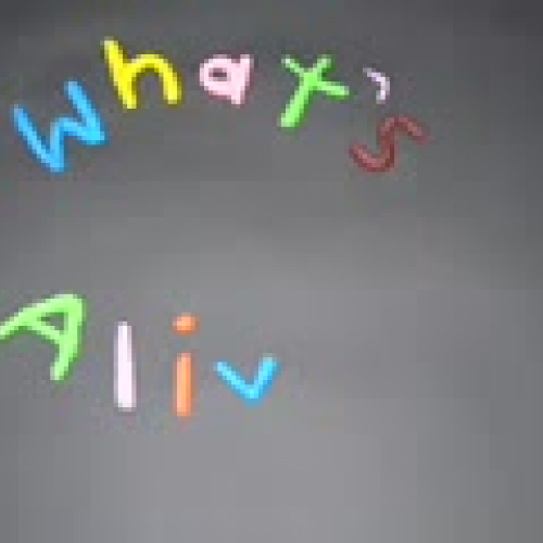 Whats Alive