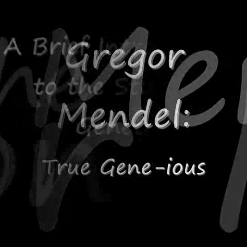 Mendel: True Gene-ious