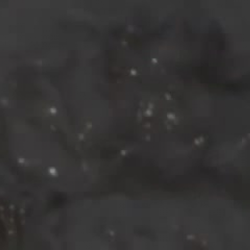 ECE Convention - Rotorua2