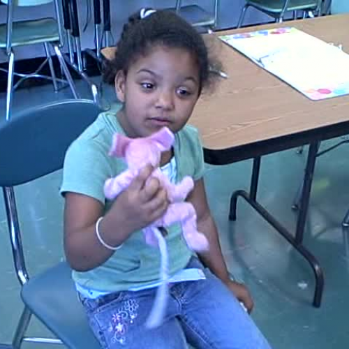 What\'s a Computer Mouse?