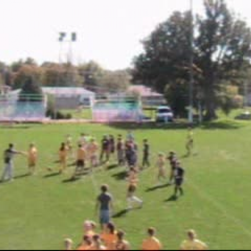 Powder Puff Highlights