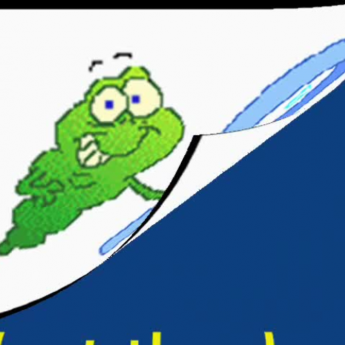 Journey to the Center of a Virus