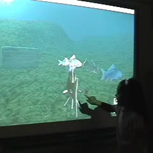 A new world on your SMARTBoard: Edusim 3D in 