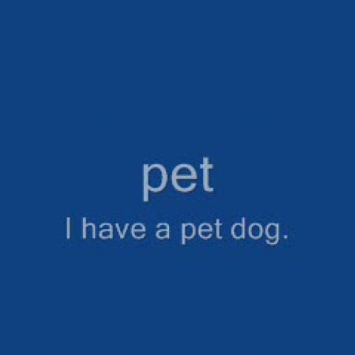 My Breakfast Reading Program: Suffixes: pet -