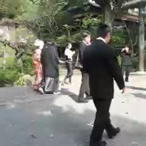 Shinto Wedding Crasher