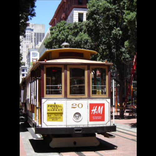 A Journey through the Senses