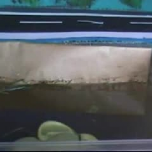 Nobody can kill nature