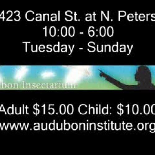 RMS Insectarium Virtual Field Trip