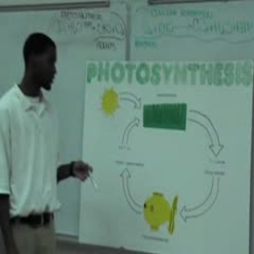 photosynthesis 34