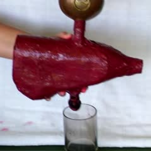 Anatomy Project Organ