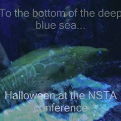 Why go to a NSTA Conference at Halloween?