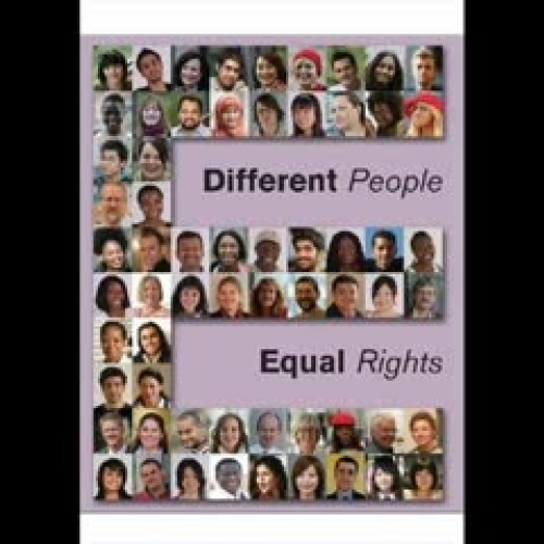 group 11 different video