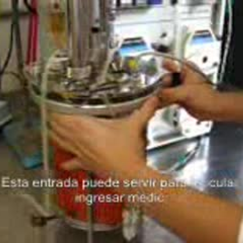 Bioreactor: partes