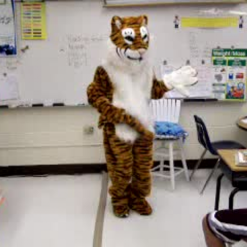 The Tiger Dance