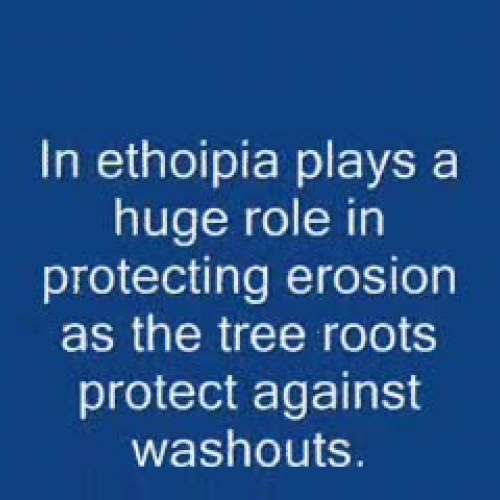 Ethiopian Movie