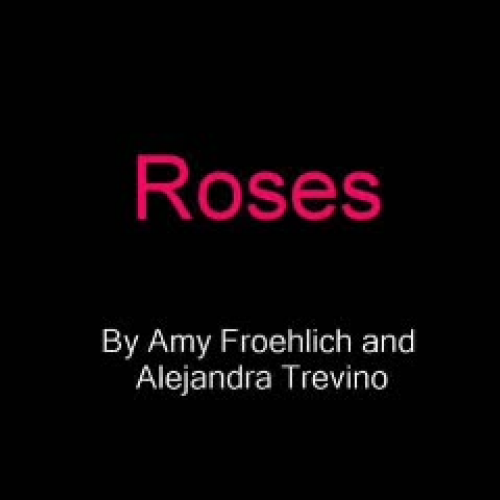 Roses