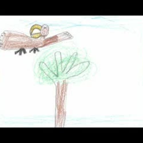 Phillip's Bird Story