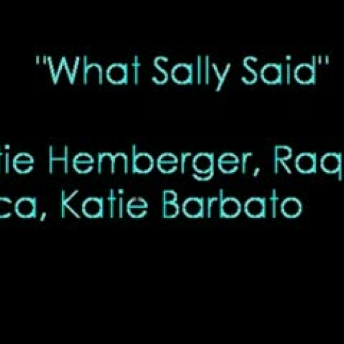 What Sally Said Storyboard