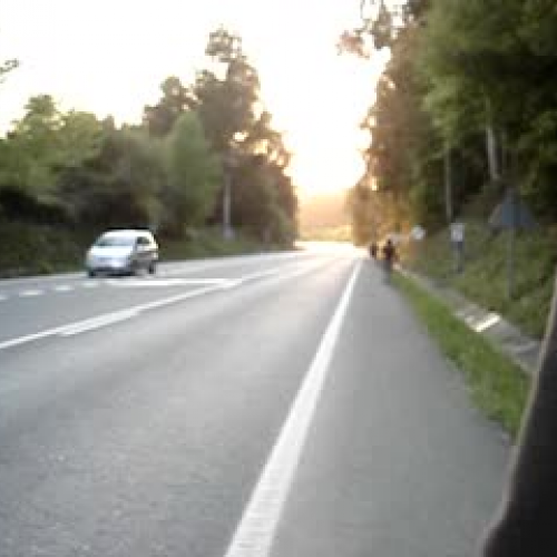 March of the Penguins 2