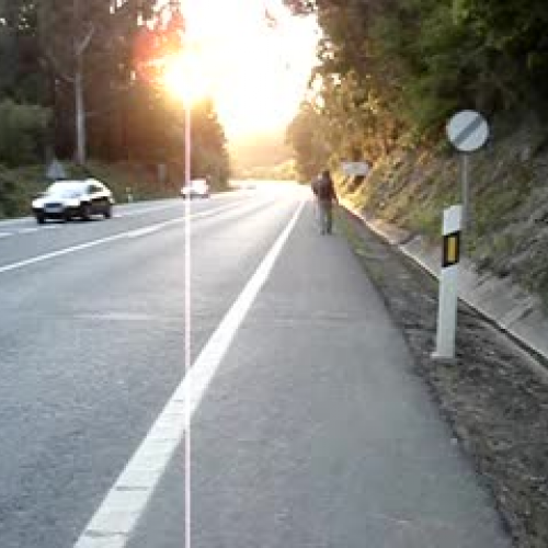 Walk of the Penguins 3