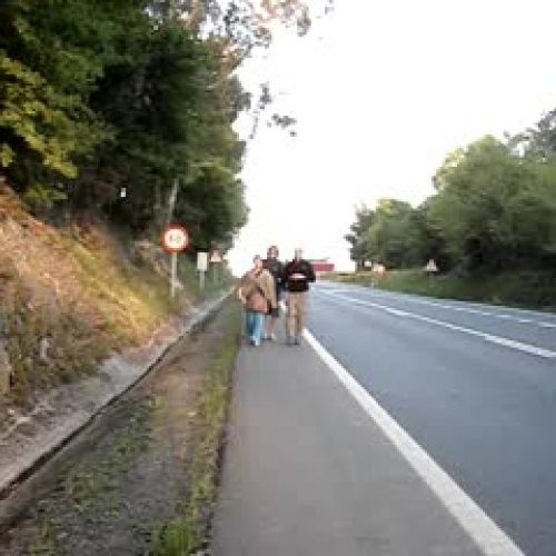 March of the Penguins 5