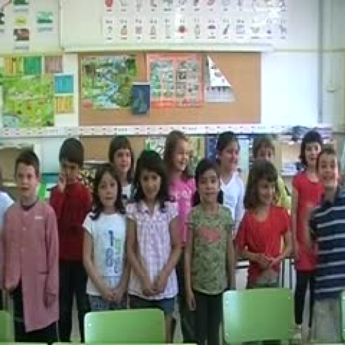 Have you got a pet? A