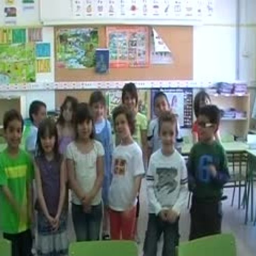 Have you got a pet ? B