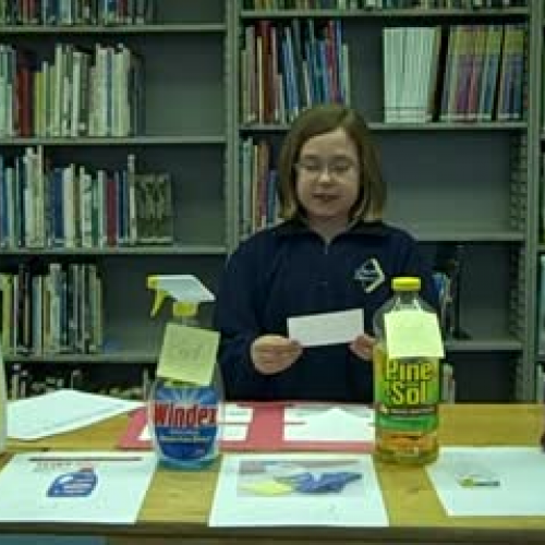 Environment project SF