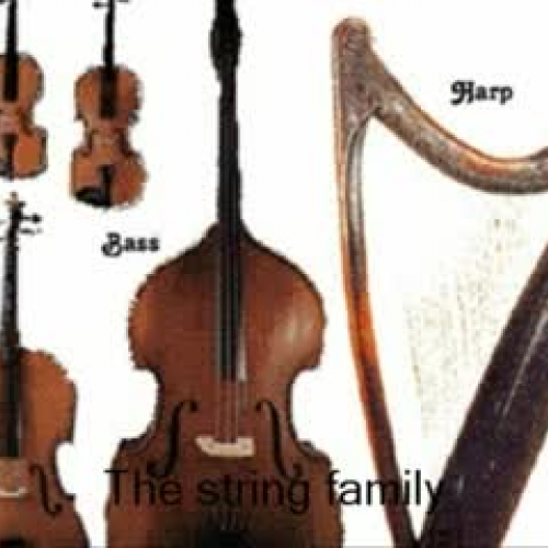 Seannette's Orchestra Families
