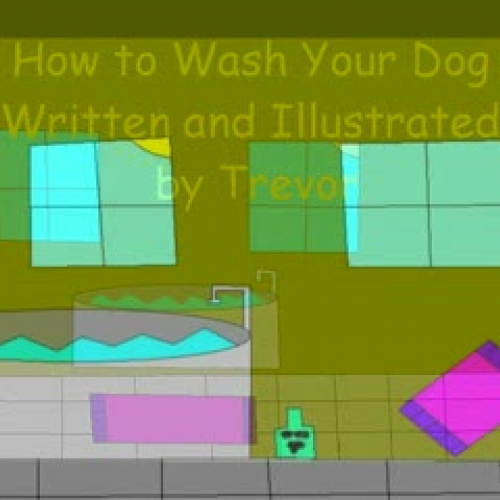 How To Was Your Dog