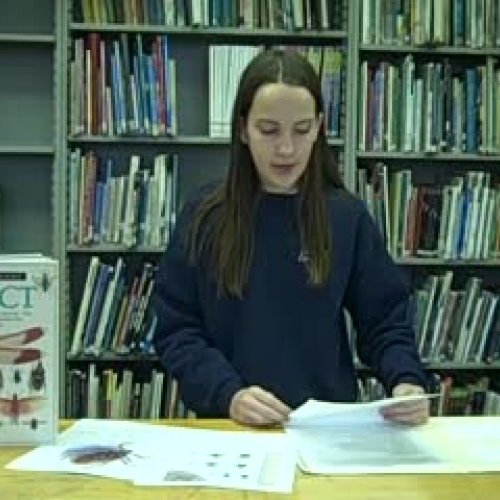 Environment project KC